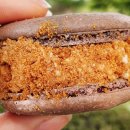 순순(soonsoon) 이미지