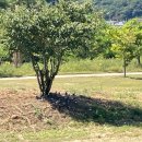 지에스(GS)25 구미보성점 이미지