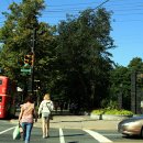 스프링가든 이미지