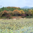 백양산체육공원 이미지