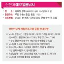 화천산천어축제 후기 준비물