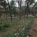 주식회사 해피플러스 이미지