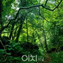 저지오름 이미지