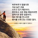 25년 7월 이야기, 5일은 달맞이꽃이 밤새우고 졸린 눈 하고 있는 걸 보니 비인두암 재재재발 항암치료...