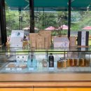 애견의 정원 이미지