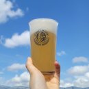 논알콜 수제 맥주 펑키몽크 🍻후기