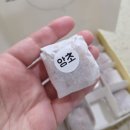 앙호두사천정동점