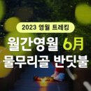 영월-6