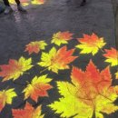 달빛명월 | 칭다오 5편 : 명월산해간 불야성 고덕지도 인어쇼 오뚜기쇼 및 여행 후기! + 새로운 궁청야짱 고덕지도