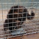 봉성농장 이미지