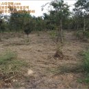 구암동213 이미지