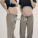 덕수니네 | 출산 D-25 남은 34주 임산부의 그간 일상들