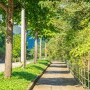 토속어류생태복원체험관 이미지