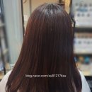 밀가헤어 이미지