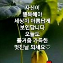 스카이점핑