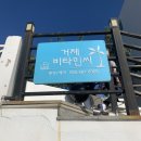 거제비타민씨 네이버블로그