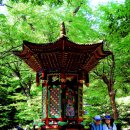 성진농원민박 이미지