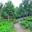 봄요양병원 이미지