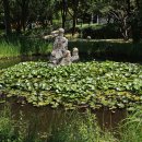 노적봉공원 이미지