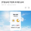 [주말날씨] 주말에 초여름 날씨! 이미지