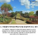 화인조경 이미지