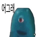 윤안경(2호점) | 성골 아싸.