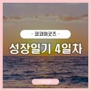 코코미굿즈