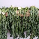 황토방세탁 이미지