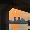 펭귄유통 | 퍼스트펭귄