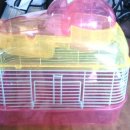 햄스터 다락방 이미지