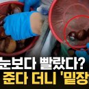 (KNN)밤 3알 얹어주더니...포장 순간 사라진 여섯알?/2026.8.28. 이미지