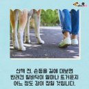 개발바닥 이미지