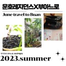 운호마을 | 오션뷰 변산반도펜션 운호레지던스 3박 + 식사 및 체험 쿠폰 2종 = 12만원 패키지 &lt;부아느로&gt; 이벤트...