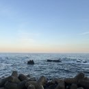 진빌딩 | 도주재X보떼헤르츠 패키지 강릉 웨딩스냅 촬영 후기(feat.헬퍼 지연님)