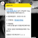 혜성종합장식 | 시즌 방문 후기 / 귀담 Ep.2 더 마리오네트 체험 후기 / 1 Day 종합이용권 / 월요일 혼잡도 및 대기시간