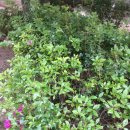 수산정수사업소 태양광발전소 | 인천 수돗물, 태양광발전소로 저탄소 도시 구현-- 인천시 4개 정수장에 10개 태양광, 1개 소수력 발전소...