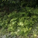 원산농장 이미지