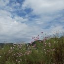 경천주유소 이미지