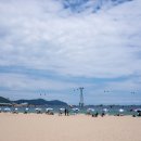 포항송도해수욕장 네이버블로그