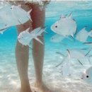 7당구클럽 이미지