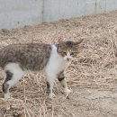 미영축사 네이버블로그