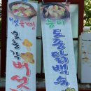 벚꽃나들버섯집 이미지