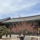 엄마손꿀꿀이 이미지