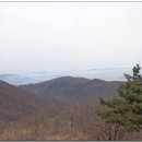 영화마을 이미지