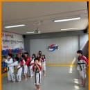 국가대표솔빛태권도장 | 동탄태권도 솔빛 태권도 도장, 아이들의 몸과 마음을 함께 키우다!