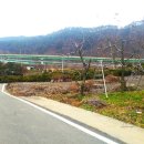 충주주덕공인중개사사무소 이미지