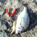 늑도방파제 이미지