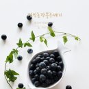 정민농장 이미지