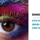 글라스안경 이미지