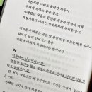 야피